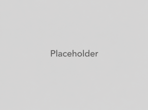 Placeholder
